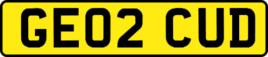 GE02CUD