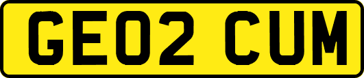 GE02CUM
