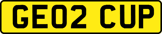 GE02CUP