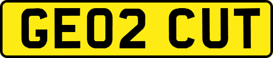 GE02CUT