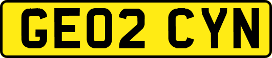 GE02CYN