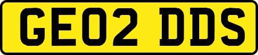 GE02DDS