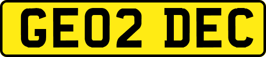 GE02DEC