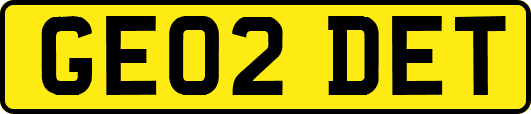 GE02DET