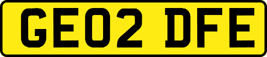 GE02DFE