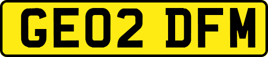 GE02DFM