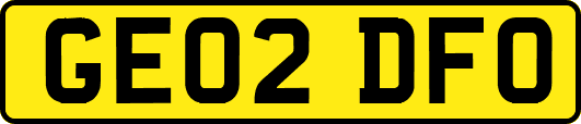 GE02DFO
