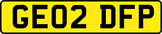 GE02DFP