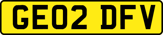 GE02DFV