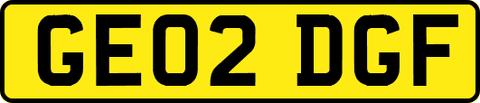 GE02DGF