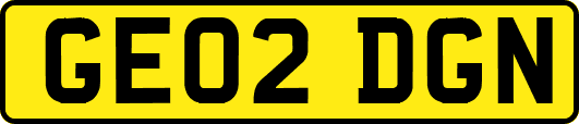 GE02DGN