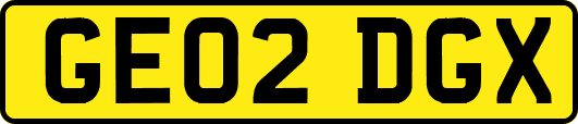 GE02DGX