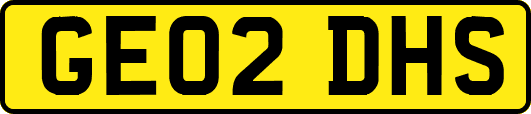 GE02DHS