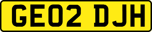 GE02DJH
