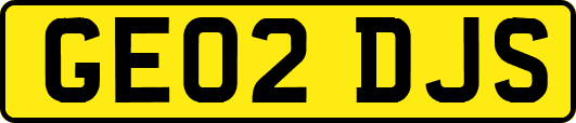 GE02DJS