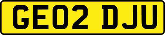 GE02DJU