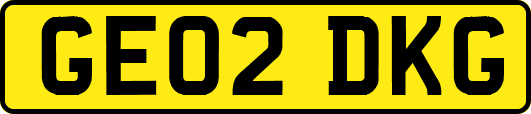 GE02DKG