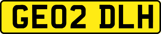 GE02DLH