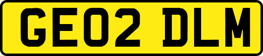 GE02DLM