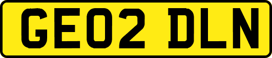 GE02DLN