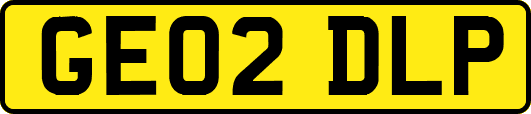 GE02DLP