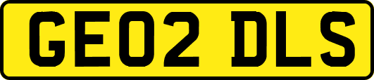 GE02DLS