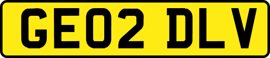 GE02DLV