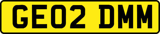 GE02DMM