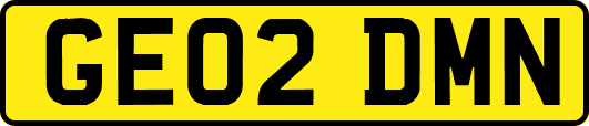 GE02DMN