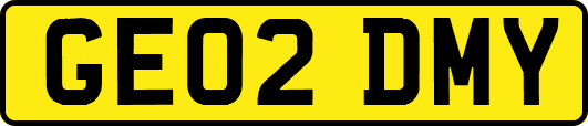 GE02DMY