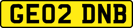 GE02DNB