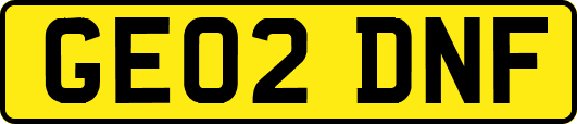 GE02DNF