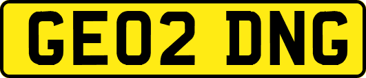 GE02DNG