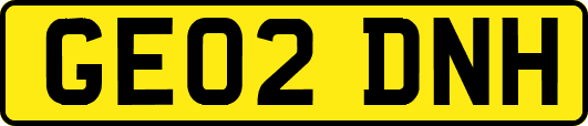 GE02DNH
