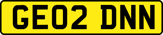 GE02DNN