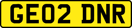 GE02DNR