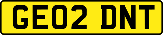 GE02DNT