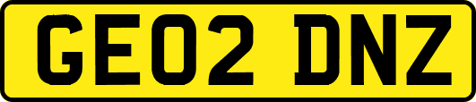 GE02DNZ