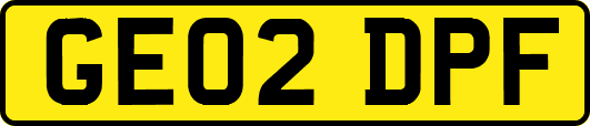 GE02DPF