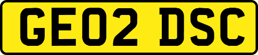 GE02DSC