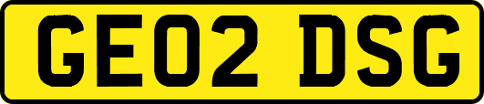 GE02DSG