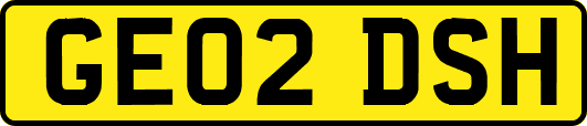 GE02DSH