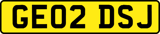 GE02DSJ