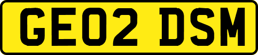 GE02DSM