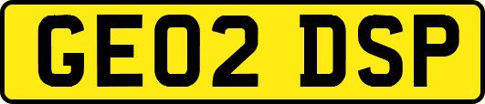 GE02DSP