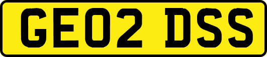 GE02DSS