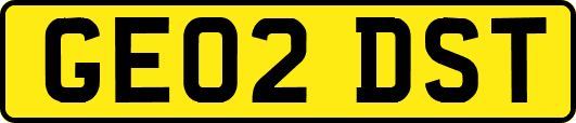 GE02DST