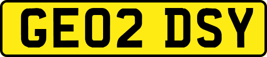 GE02DSY