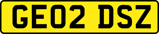 GE02DSZ
