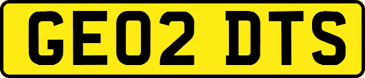 GE02DTS